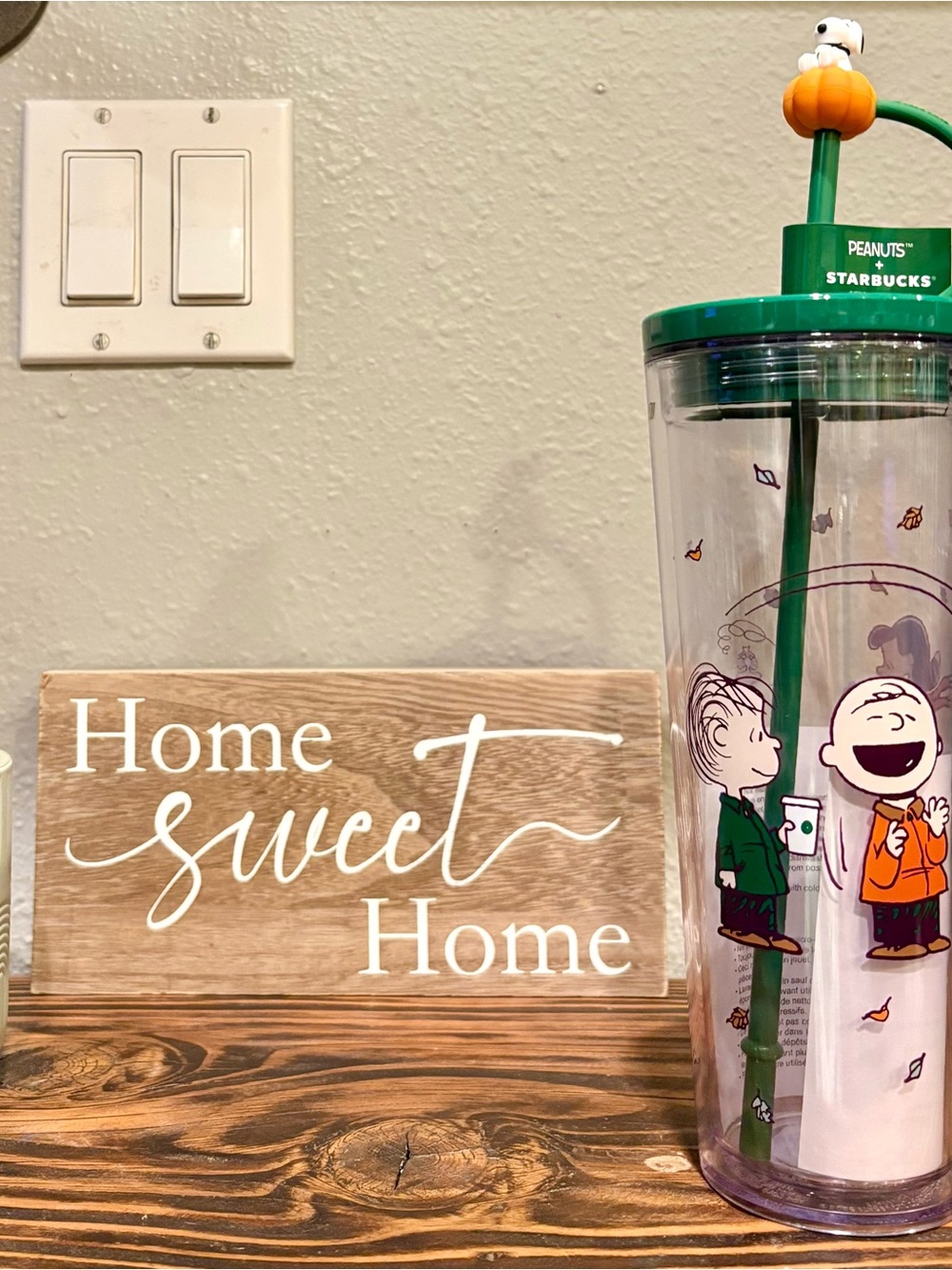 Starbucks x Peanuts Charlie Brown & Linus 24 oz Cold Cup, BNWT